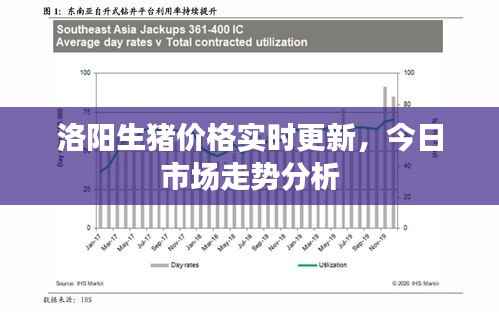 洛阳生猪价格实时更新,今日市场走势分析