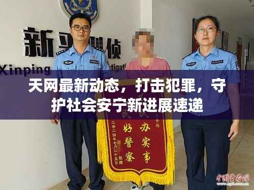 天网最新动态，打击犯罪，守护社会安宁新进展速递