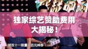 独家综艺赞助费用大揭秘!