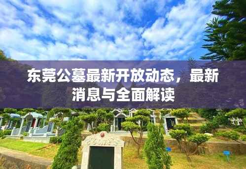 东莞公墓最新开放动态，最新消息与全面解读