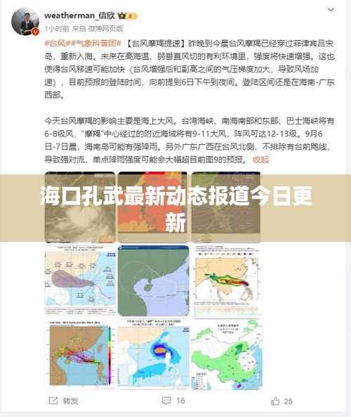 海口孔武最新动态报道今日更新