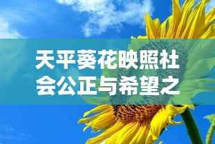 天平葵花映照社会公正与希望之光,新闻头条下的时代风采