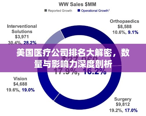 美国医疗公司排名大解密,数量与影响力深度剖析