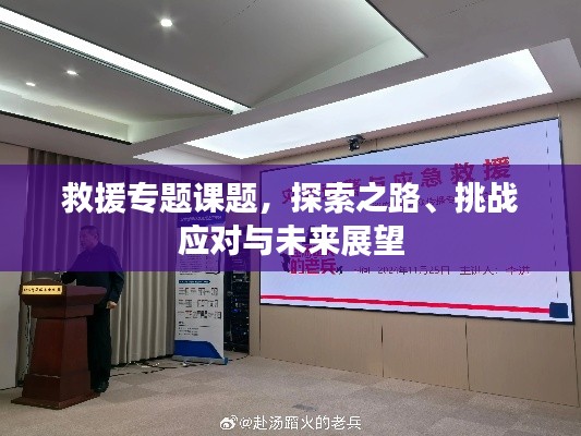 救援专题课题,探索之路、挑战应对与未来展望