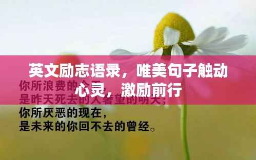 英文励志语录，唯美句子触动心灵，激励前行