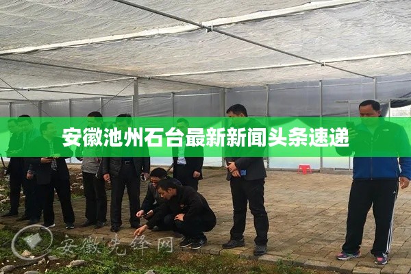 安徽池州石台最新新闻头条速递