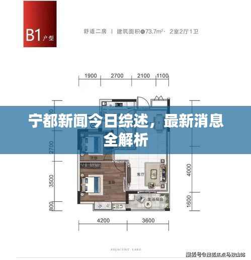 宁都新闻今日综述，最新消息全解析