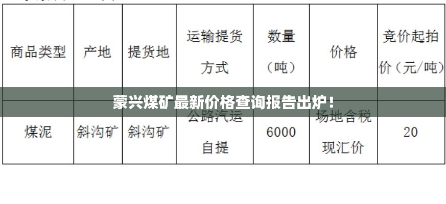 蒙兴煤矿最新价格查询报告出炉！