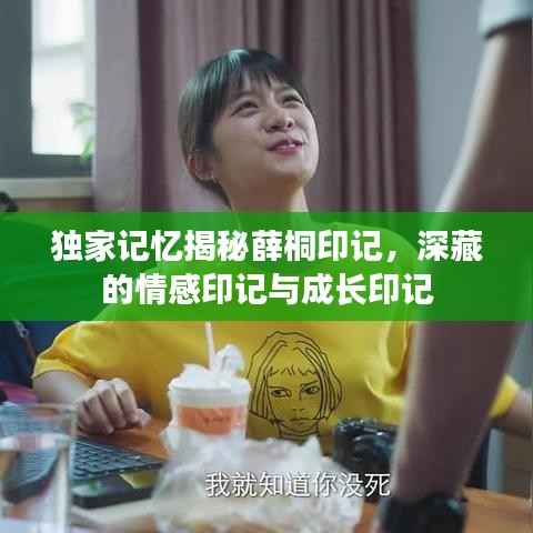 独家记忆揭秘薛桐印记,深藏的情感印记与成长印记