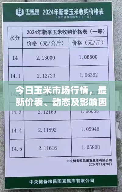 今日玉米市场行情，最新价表、动态及影响因素全解析