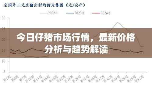 今日仔猪市场行情，最新价格分析与趋势解读