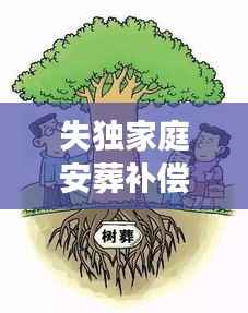 失独家庭安葬补偿，社会关怀与经济援助的双重温暖