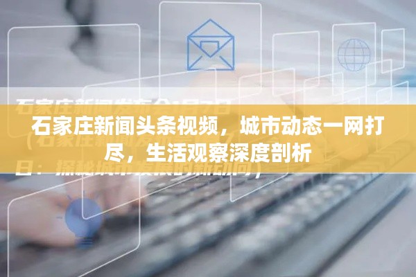 石家庄新闻头条视频,城市动态一网打尽,生活观察深度剖析