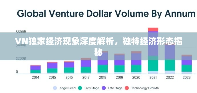 VN独家经济现象深度解析，独特经济形态揭秘