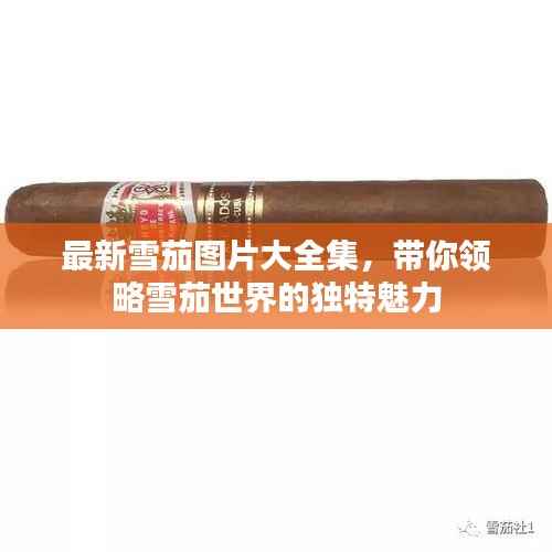 最新雪茄图片大全集，带你领略雪茄世界的独特魅力