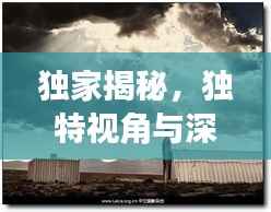 独家揭秘,独特视角与深度洞察的探索之旅