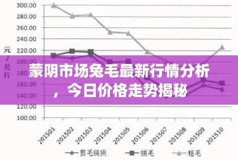 蒙阴市场兔毛最新行情分析，今日价格走势揭秘