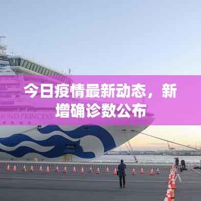 今日疫情最新动态,新增确诊数公布